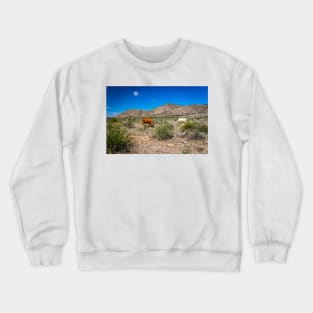 Criollo Cattle on the Open Range Crewneck Sweatshirt